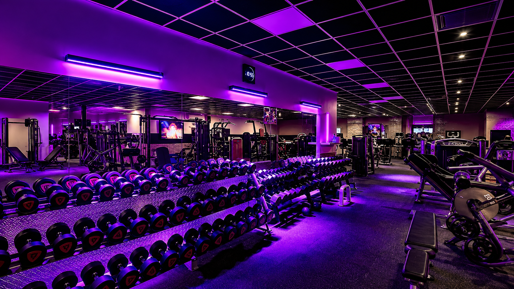 Plateau de musculation premium avec racks d'haltères et machines neuves